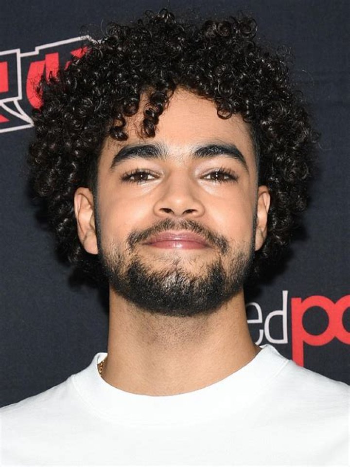 Amir Wilson | Tiuri, The Letter For The King Netflix, Actor, Will Parry, His Dark Materials, Net Worth, Age, Father, Wikipedia, Birthday, Wiki, Bio, Height, Date Of Birth, Lion King, Nationality, The King Who Would Be King