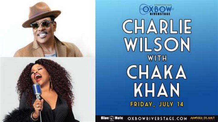 Chaka Khan Cancels Concert Dates, Pushes Album Back