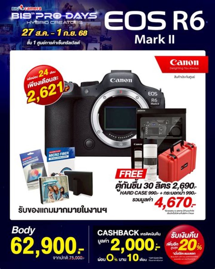 Solving The Mystery Of Everett And Bobbie