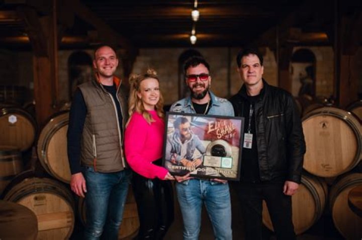 JoJamie Hahr Named SVP Of Recorded Music At BMG Nashville